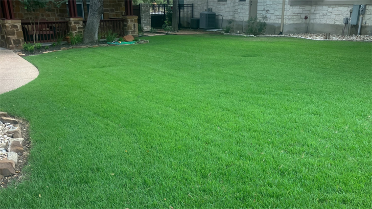 Central Texas Homeowners Often Overlook Critical Winter Lawn Care
