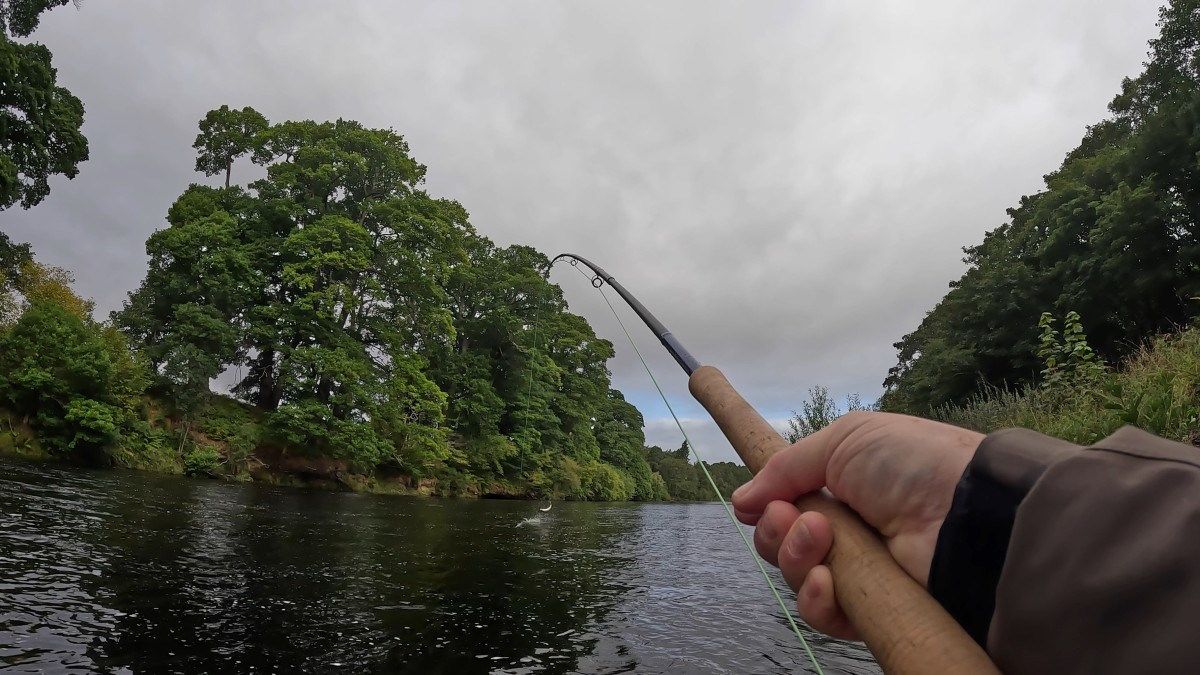Exclusive Spring Salmon Fishing Weeks Released on River Findhorn's Darnaway