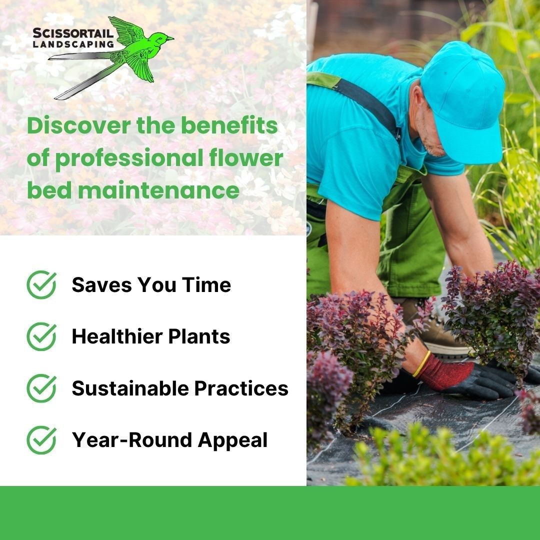 Edmond Homeowners Gain Access to Expert Flower Bed Maintenance Services