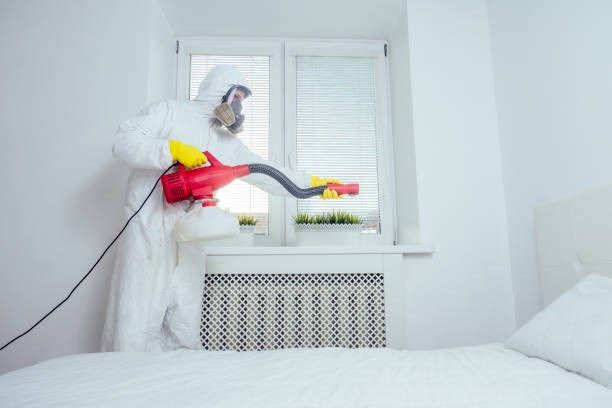Winter Bed Bug Prevention: Expert Control Solutions