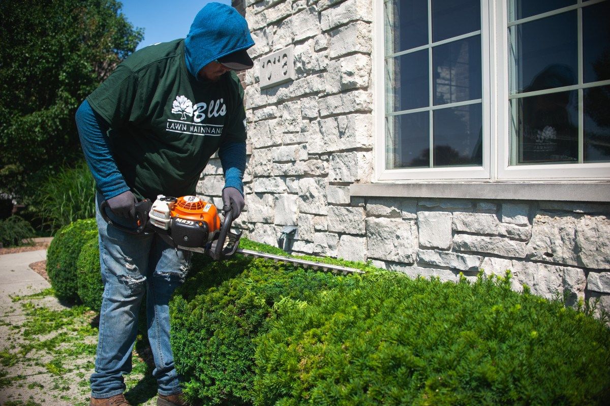 Winter Lawn Mistakes Cost Illinois Homeowners Hundreds in Spring