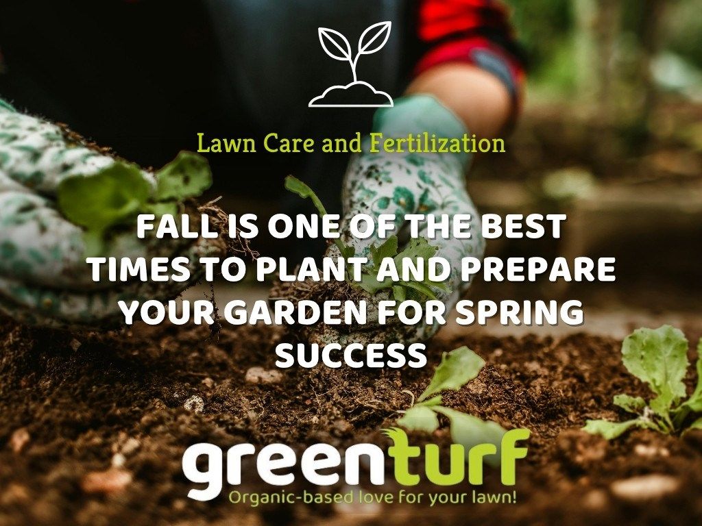 GreenTurf Promotes Greener Lawns with Premium Organic Lawn Fertilizer