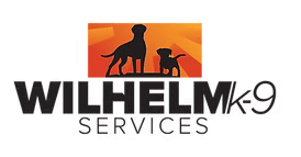 Essential Prep for Dog Boarding in Danville, CA: Tips for a Happy Experience