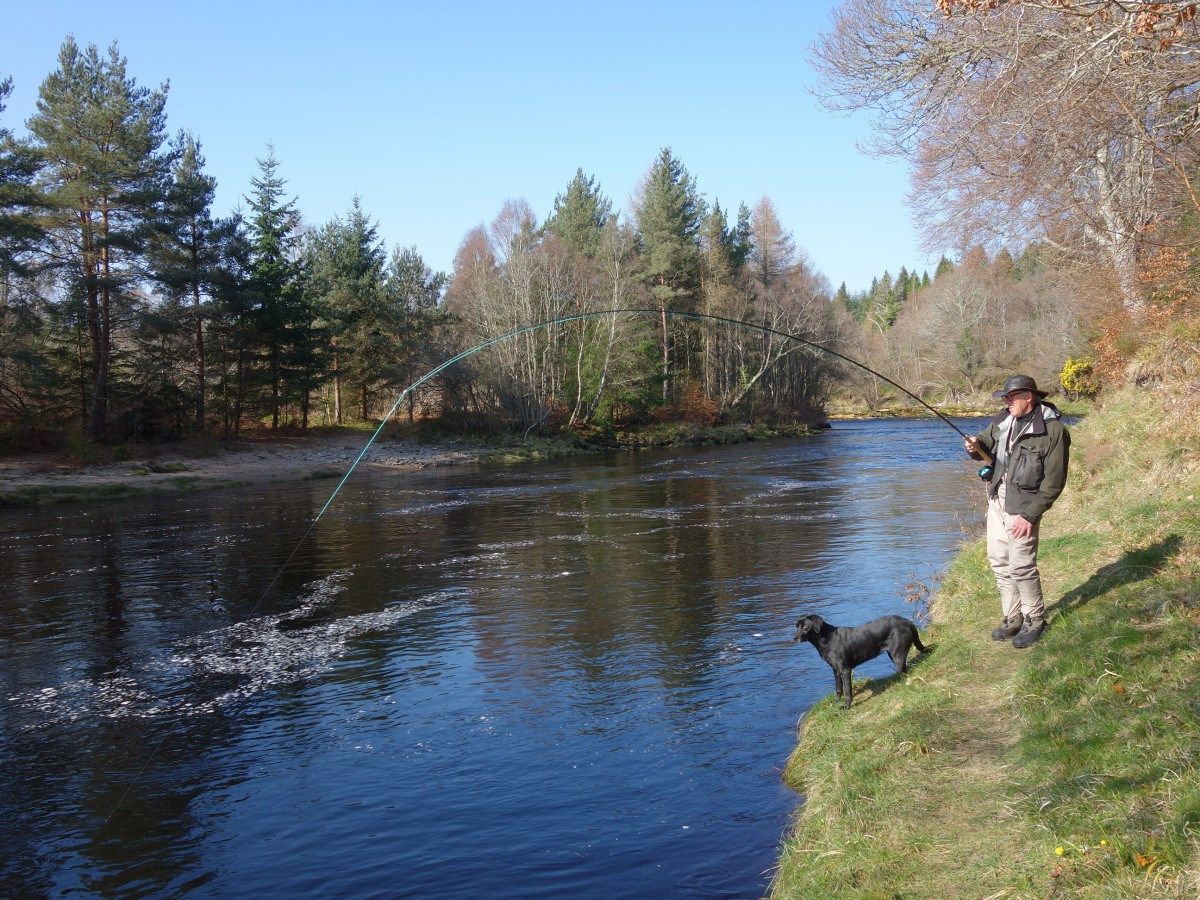 Speycaster Launches Gift Vouchers for Scottish Salmon Fishing Experiences