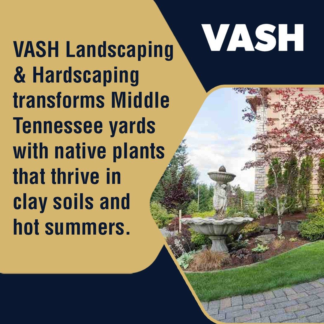Boldly Transforming Middle Tennessee Yards: VASH Landscaping & Hardscaping