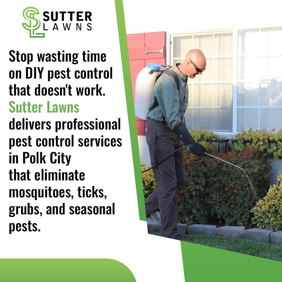 Say Goodbye to DIY Pest Control Mistakes with Sutter Lawns in Iowa