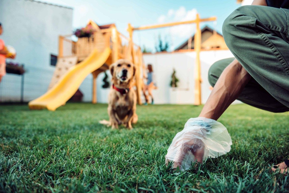 Private Pile Tackles Yard Odor Issues with Eco-Friendly Pet Waste Solutions