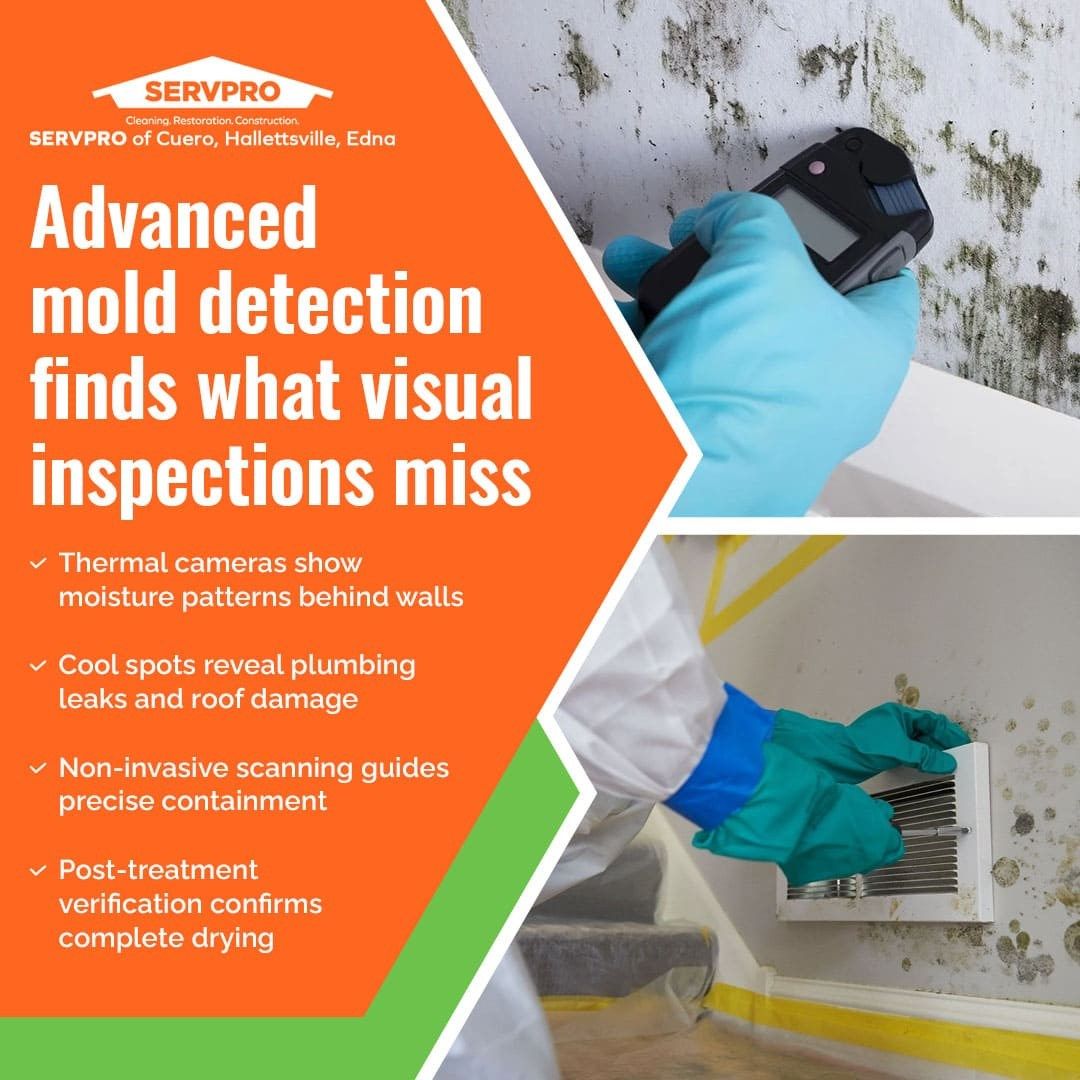 Texas restoration company deploys infrared technology to find mold in walls