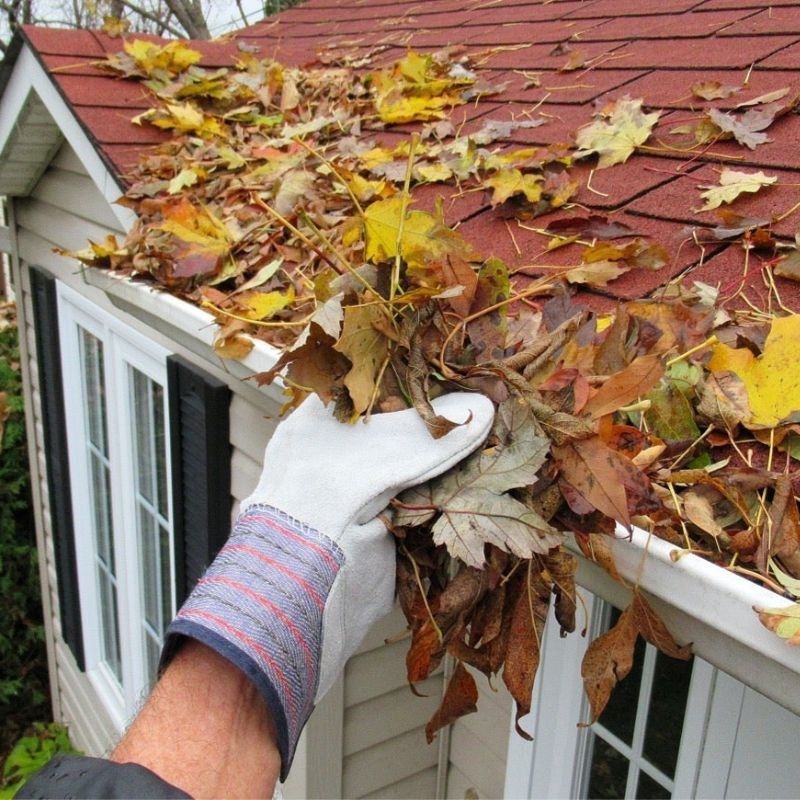 Pressure Washer Experts Offer Preventive Gutter Maintenance