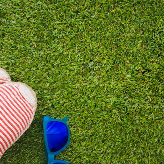 Turf Scrubbers: Dallas's Professional Turf Suppliers