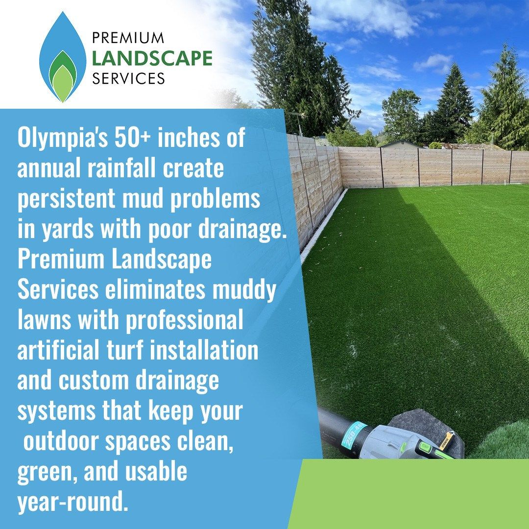 Premium Landscape Services Delivers Durable, Mud-Free Lawns for Olympia Homes