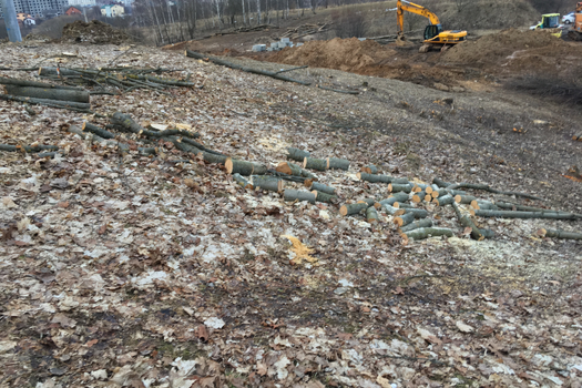 Best-in-Class Land Clearing Services Now Available in Greater Pittsburgh & NW PA