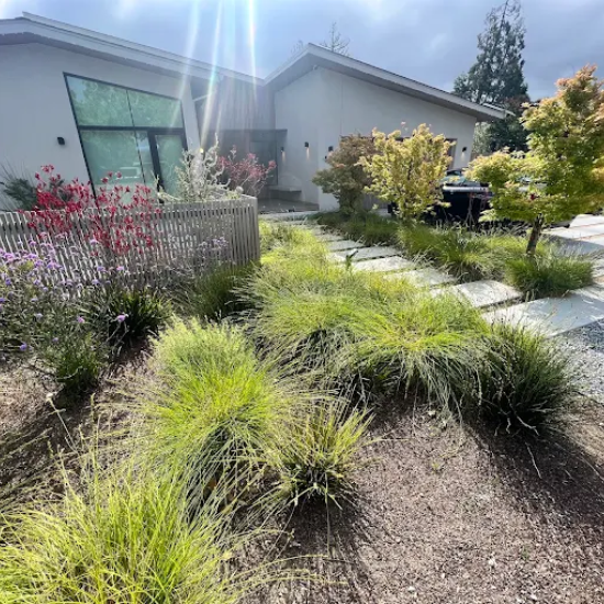 Zazueta Landscape: San Jose's Seasoned Landscapers
