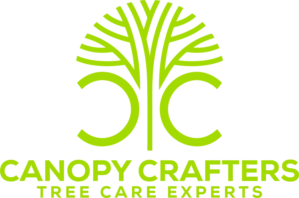 How Seasonal Changes Affect Tree Trimming Schedules in Lutz, FL